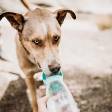Load image into Gallery viewer, Doggy Portable Drinking Water Bottle
