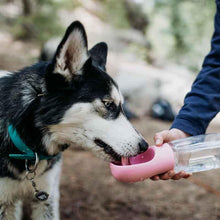 Load image into Gallery viewer, Doggy Portable Drinking Water Bottle
