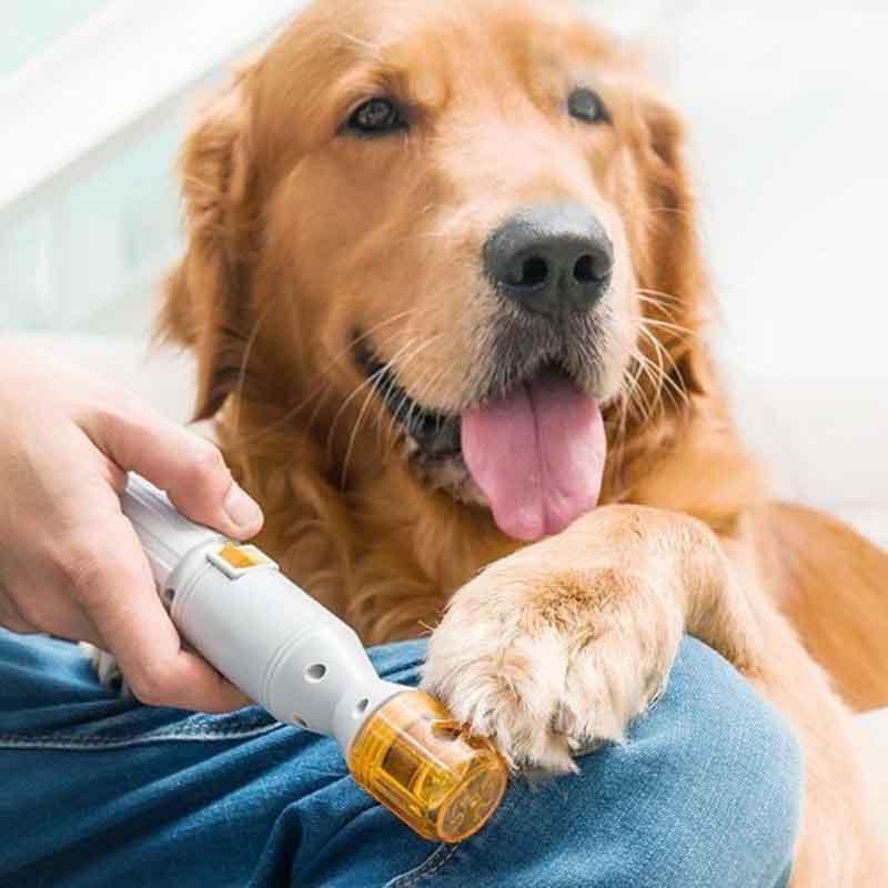 Premium Painless Nail Clipper For Pets