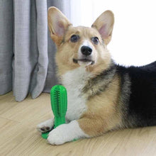 Load image into Gallery viewer, Dog Toothbrush Toy
