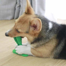 Load image into Gallery viewer, Dog Toothbrush Toy
