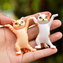 Load image into Gallery viewer, Funny Toys Gift ( one set -five cats and black box)

