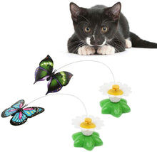 Load image into Gallery viewer, Electric Rotating Butterfly Cat Toys
