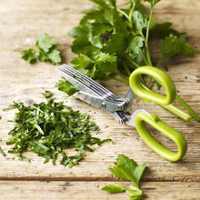 Load image into Gallery viewer, Kitchen Essentials Scissors
